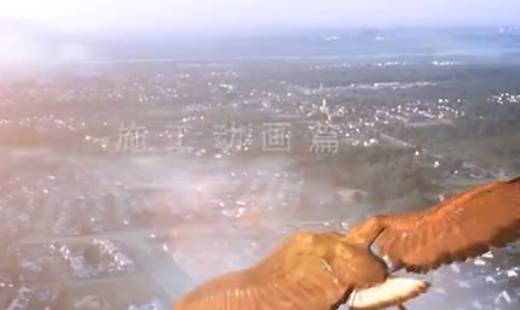 天弓動(dòng)畫工程施工篇